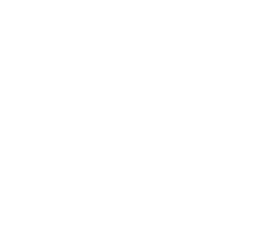 stormerlogo-white